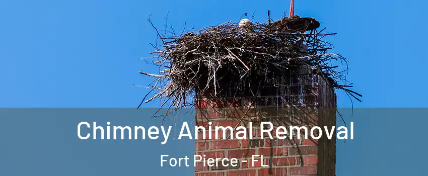  Chimney Animal Removal Fort Pierce - FL